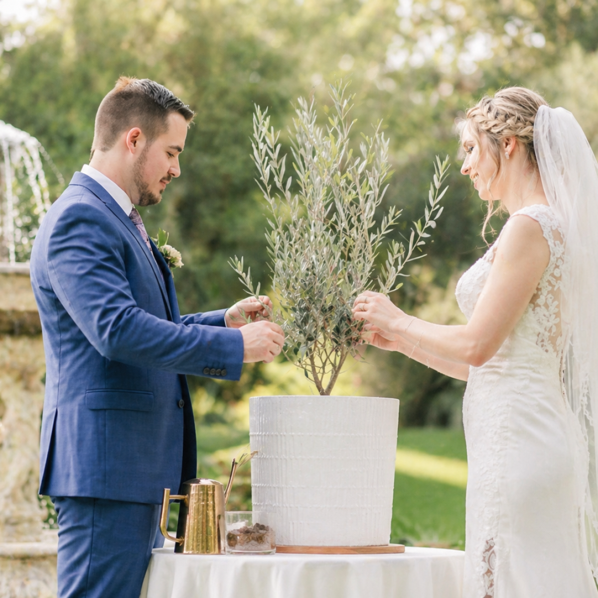 rito ulivo, matrimonio civile, celebrazione simbolica, partecipiante ,a partecipazioni piantabili